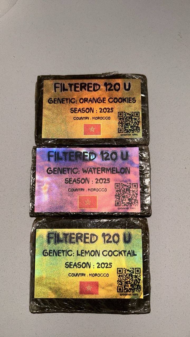 MOUNTAIN TERPS - Image 2